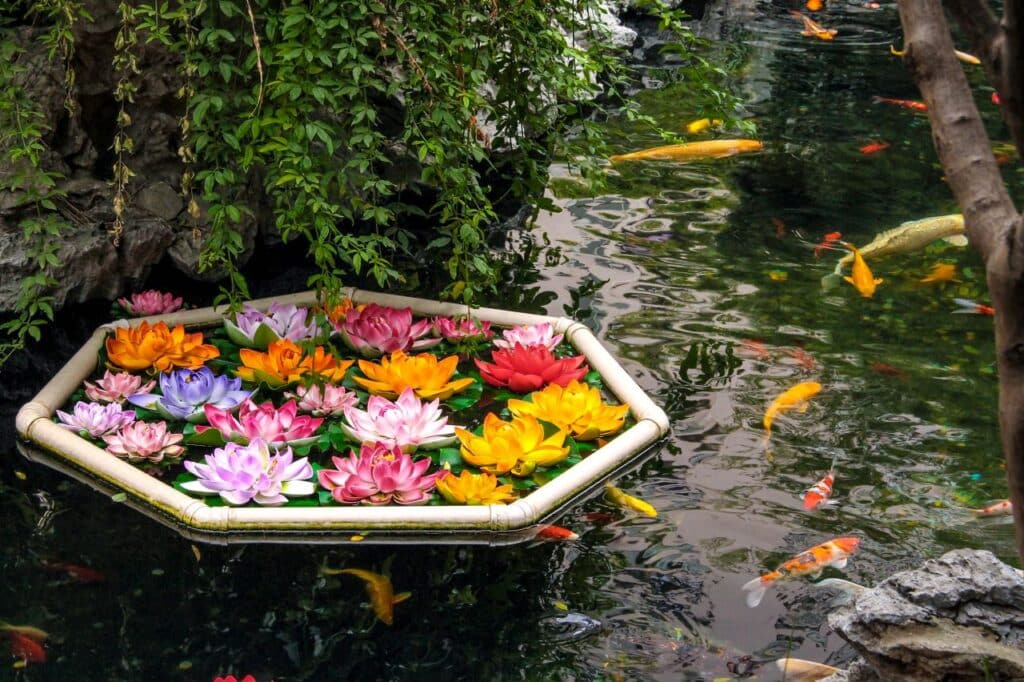 un jardin aquatique