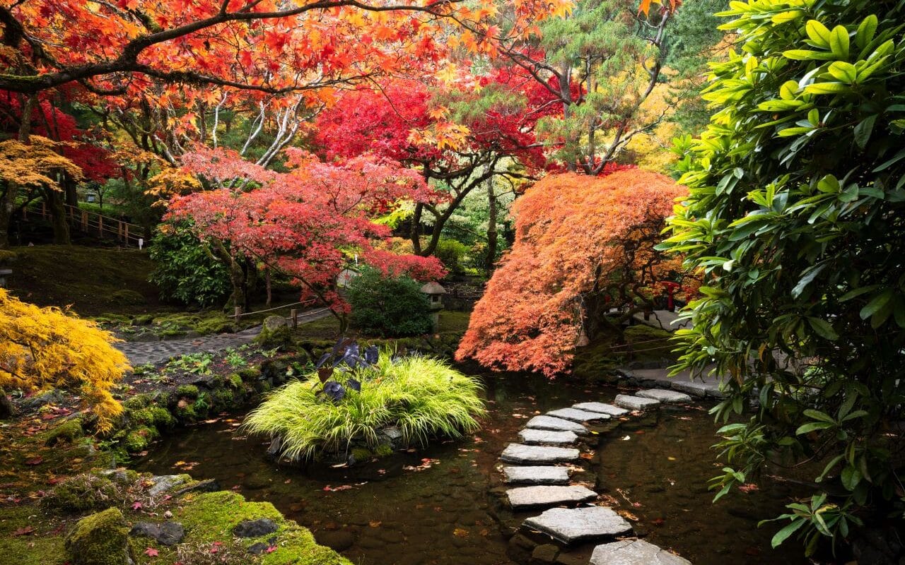 un jardin japonais