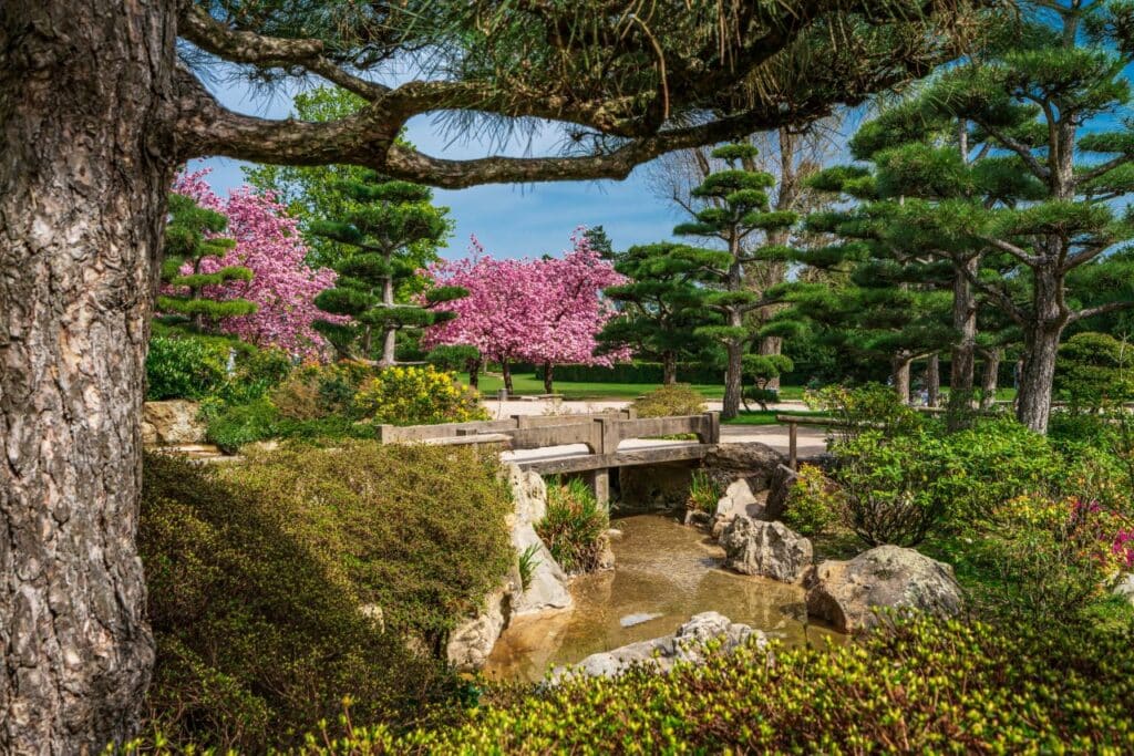 un jardin japonais