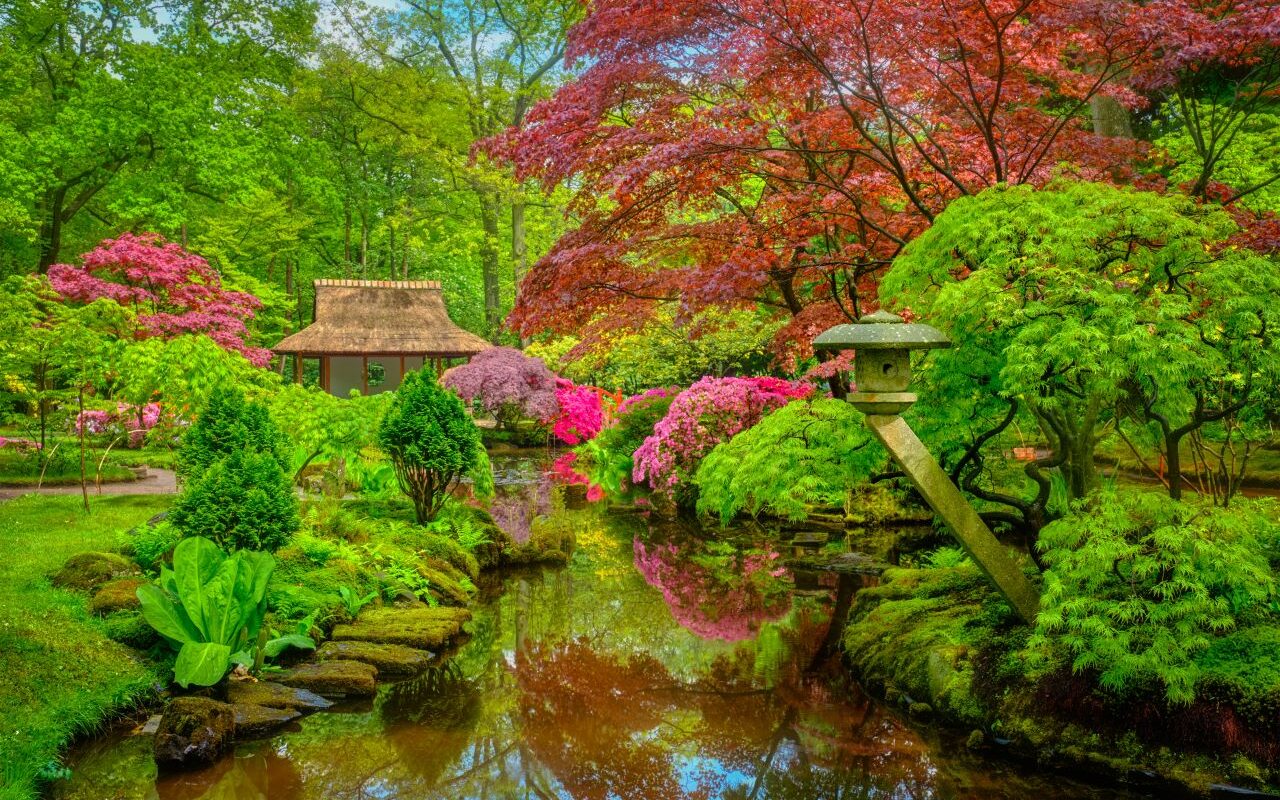 un jardin japonais