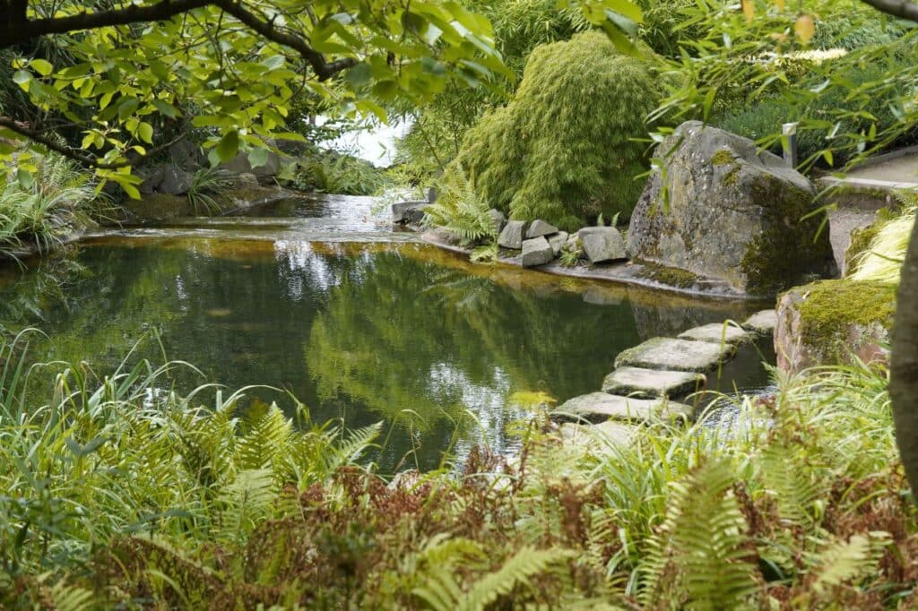 une piscine naturelle