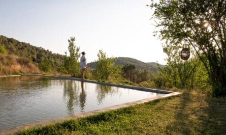 une piscine naturelle