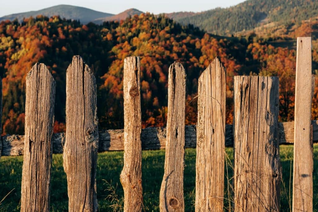 Cl&ocirc;tures en bois