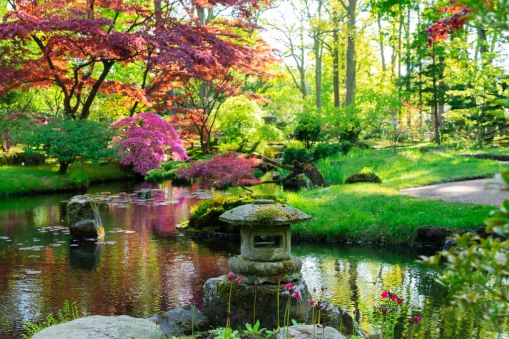 un jardin japonais