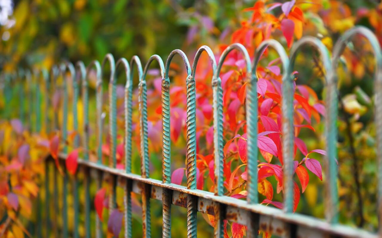 une clôture de jardin