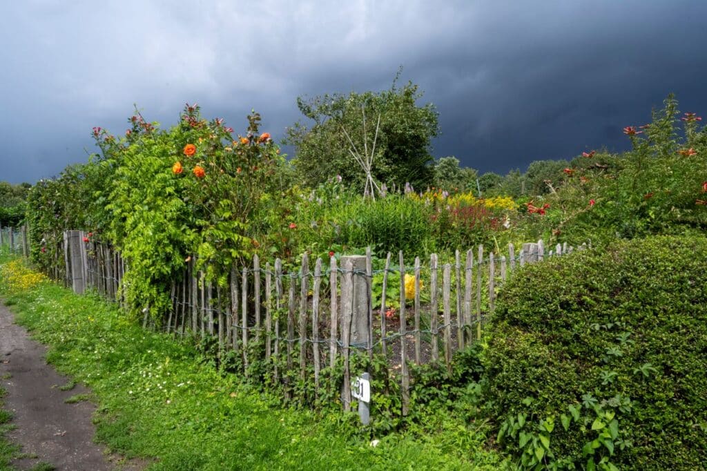 une cl&ocirc;ture de jardin