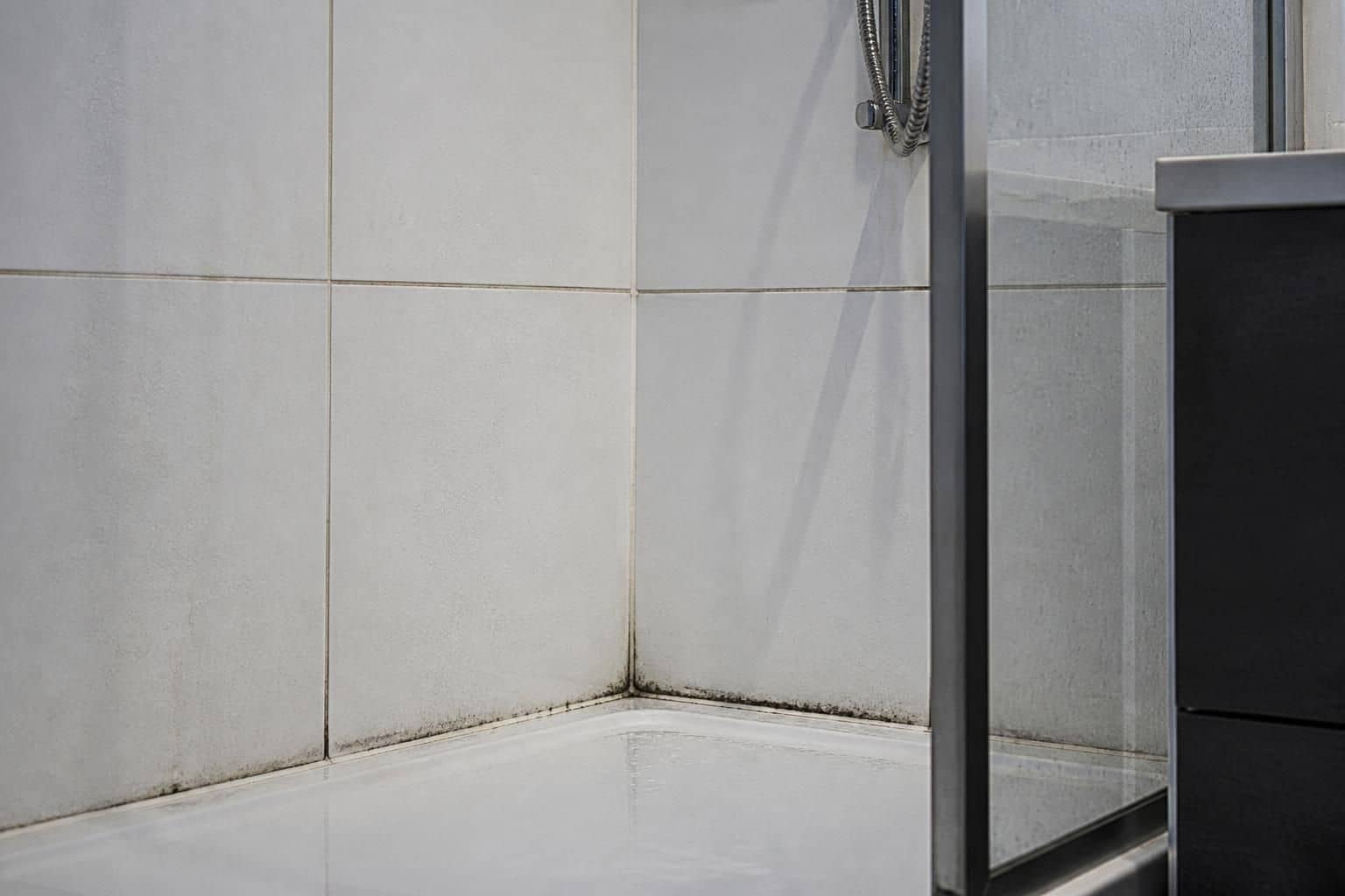 d&eacute;couvrez des m&eacute;thodes efficaces et faciles pour blanchir les joints de carrelage noircis dans votre douche et redonner un coup de neuf &agrave; votre salle de bain.