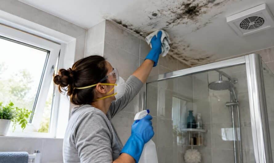 découvrez comment éliminer les moisissures au plafond de la salle de bain et prévenir leur réapparition grâce à des solutions durables.