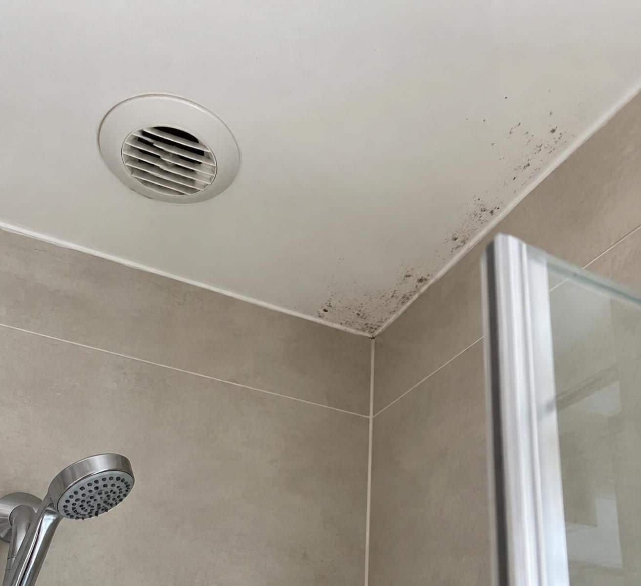 d&eacute;couvrez comment &eacute;liminer durablement les moisissures au plafond de la salle de bain et pr&eacute;venir leur r&eacute;apparition gr&acirc;ce &agrave; des solutions efficaces.